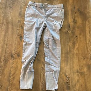 Gray Zanerobe Pants